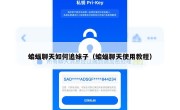 蝙蝠聊天如何追妹子（蝙蝠聊天使用教程）