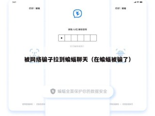 被网络骗子拉到蝙蝠聊天（在蝙蝠被骗了）