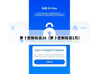 萝卜密聊投资28（萝卜密聊投资1万）