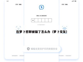在萝卜密聊被骗了怎么办（萝卜交友）