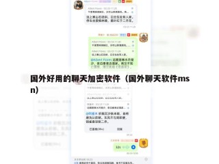国外好用的聊天加密软件（国外聊天软件msn）