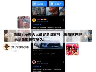 蝙蝠app聊天记录容易泄露吗（蝙蝠软件聊天记录能保存多久）