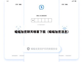 蝙蝠加密聊天哪里下载（蝙蝠加密消息）