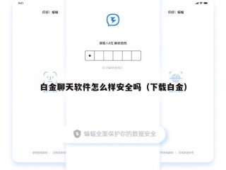 白金聊天软件怎么样安全吗（下载白金）