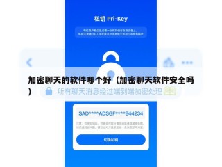 加密聊天的软件哪个好（加密聊天软件安全吗）