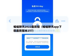 蝙蝠聊天2022最新版（蝙蝠聊天app下载最新版本257）