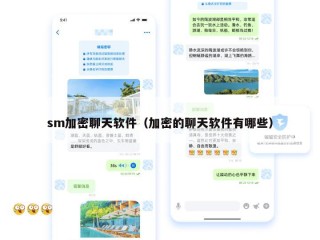 sm加密聊天软件（加密的聊天软件有哪些）