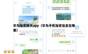 华为加密聊天app（华为手机加密信息在哪里）