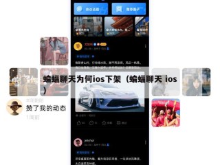 蝙蝠聊天为何ios下架（蝙蝠聊天 ios）