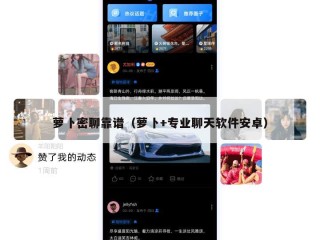 萝卜密聊靠谱（萝卜+专业聊天软件安卓）
