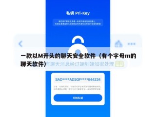 一款以M开头的聊天安全软件（有个字母m的聊天软件）