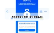怎样使用萝卜密聊（萝卜密怎么吃）