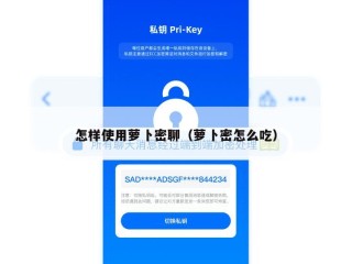 怎样使用萝卜密聊（萝卜密怎么吃）