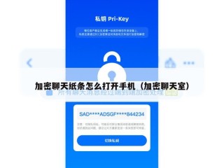 加密聊天纸条怎么打开手机（加密聊天室）