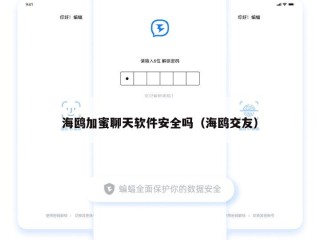 海鸥加蜜聊天软件安全吗（海鸥交友）