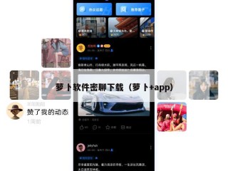 萝卜软件密聊下载（萝卜+app）