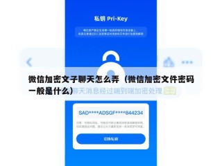 微信加密文子聊天怎么弄（微信加密文件密码一般是什么）