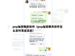 pop加密聊天软件（pop加密聊天软件怎么定时发送消息）