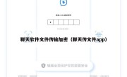 聊天软件文件传输加密（聊天传文件app）