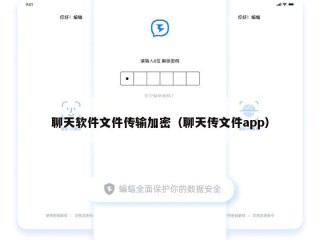 聊天软件文件传输加密（聊天传文件app）