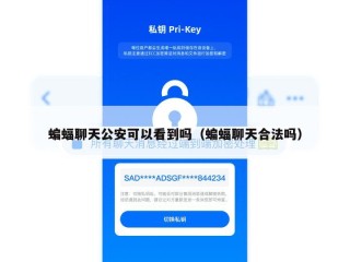 蝙蝠聊天公安可以看到吗（蝙蝠聊天合法吗）