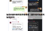 加密的国外聊天软件有哪些（国外端对端聊天加密软件）