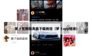 萝卜密聊服务器下载微信（萝卜app链接）