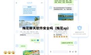 梅花聊天软件安全吗（梅花ap）