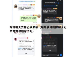 蝙蝠聊天去掉已读未读（蝙蝠软件删除聊天记录对方也删除了吗）