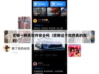 密聊一聊天软件安全吗（密聊这个软件真的假的）