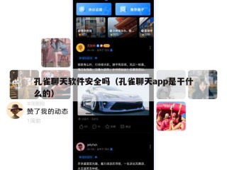 孔雀聊天软件安全吗（孔雀聊天app是干什么的）