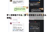 萝卜密聊是个什么（萝卜密聊是什么软件怎么使用）