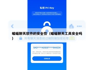 蝙蝠聊天软件的安全性（蝙蝠聊天工具安全吗）