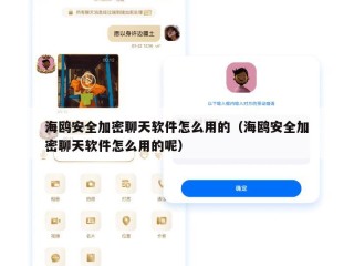 海鸥安全加密聊天软件怎么用的（海鸥安全加密聊天软件怎么用的呢）