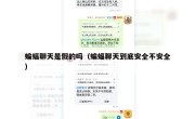 蝙蝠聊天是假的吗（蝙蝠聊天到底安全不安全）