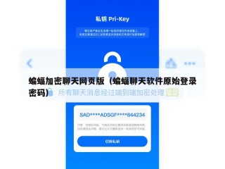 蝙蝠加密聊天网页版（蝙蝠聊天软件原始登录密码）
