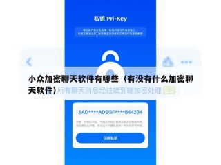 小众加密聊天软件有哪些（有没有什么加密聊天软件）