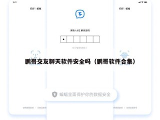 鹏哥交友聊天软件安全吗（鹏哥软件合集）