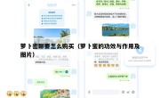 萝卜密聊要怎么购买（萝卜蜜的功效与作用及图片）