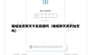蝙蝠加密聊天不能截图吗（蝙蝠聊天真的加密吗）