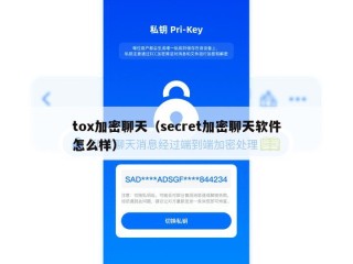 tox加密聊天（secret加密聊天软件怎么样）