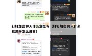 钉钉加密聊天什么意思呀（钉钉加密聊天什么意思呀怎么设置）