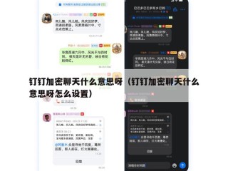 钉钉加密聊天什么意思呀（钉钉加密聊天什么意思呀怎么设置）