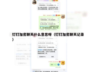钉钉加密聊天什么意思呀（钉钉加密聊天记录）