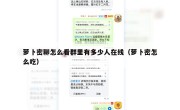 萝卜密聊怎么看群里有多少人在线（萝卜密怎么吃）