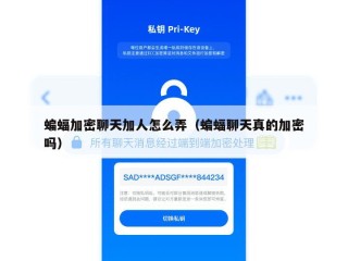 蝙蝠加密聊天加人怎么弄（蝙蝠聊天真的加密吗）