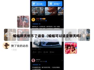蝙蝠聊天听不了语音（蝙蝠可以语音聊天吗）