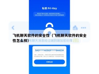 飞机聊天软件的安全性（飞机聊天软件的安全性怎么样）