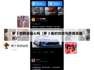萝卜密聊会骗人吗（萝卜蜜的功效与作用及图片）