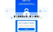 萝卜密聊发计划（萝卜+聊天）
